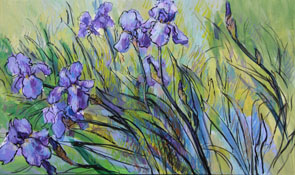 10. Iridaceae 100x60